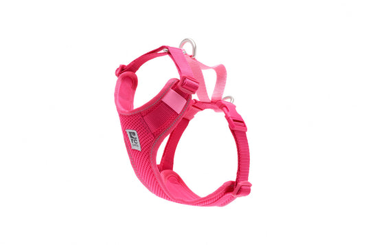 RC PETS Moto Control Harness, Azalea S