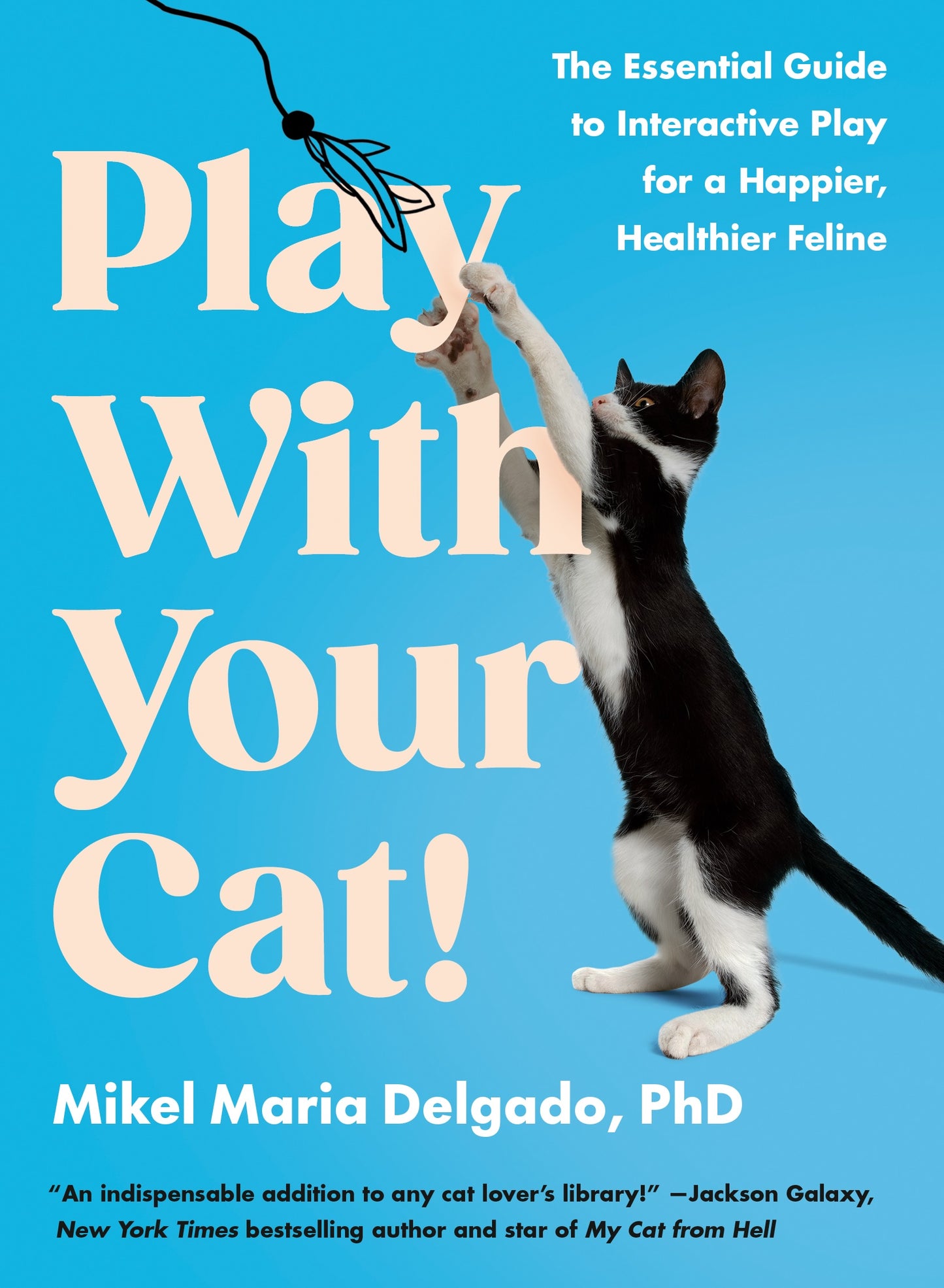 Play With Your Cat! by Mikel Maria Delgado PHD