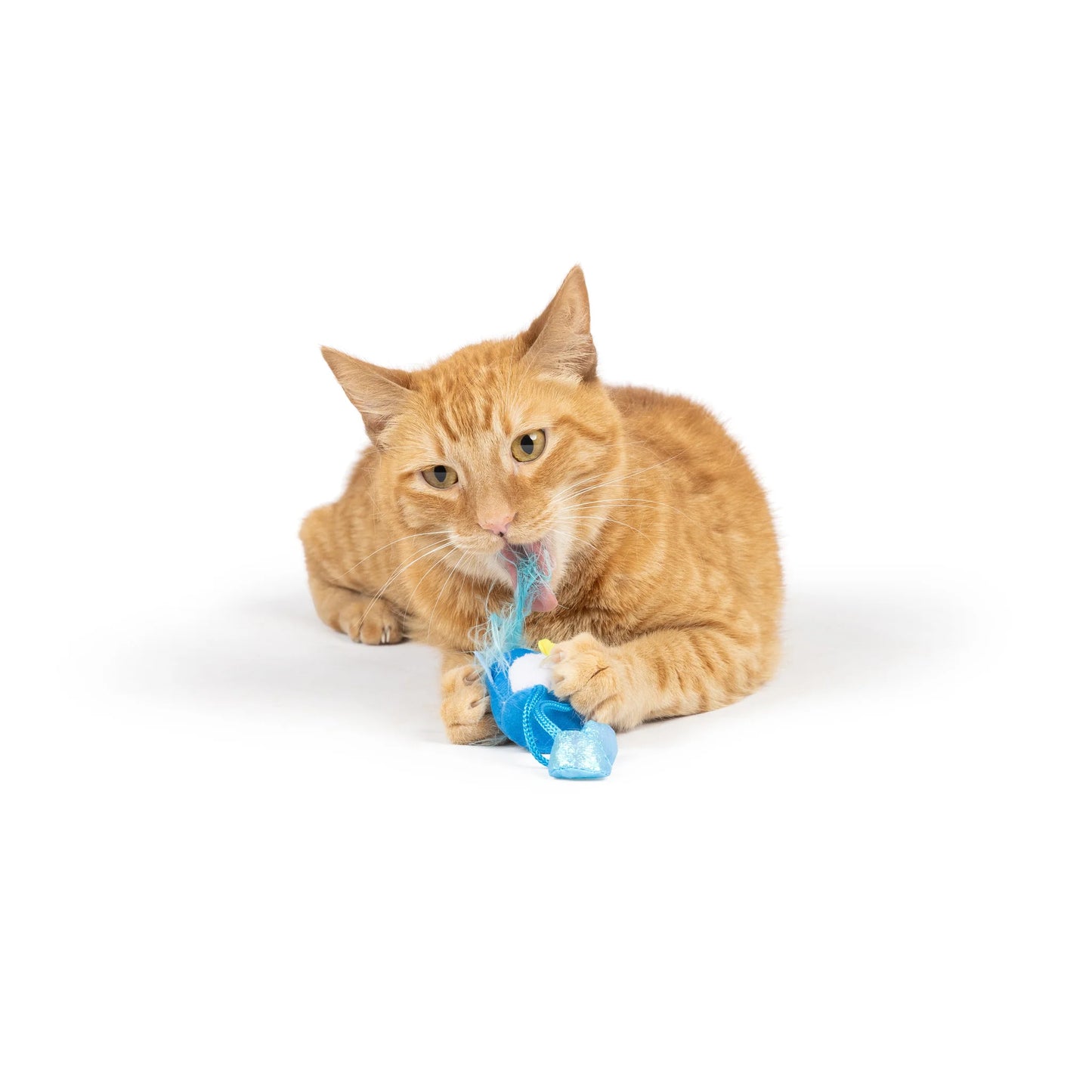 HUXLEY & KENT Chirpy Bluebird Toy