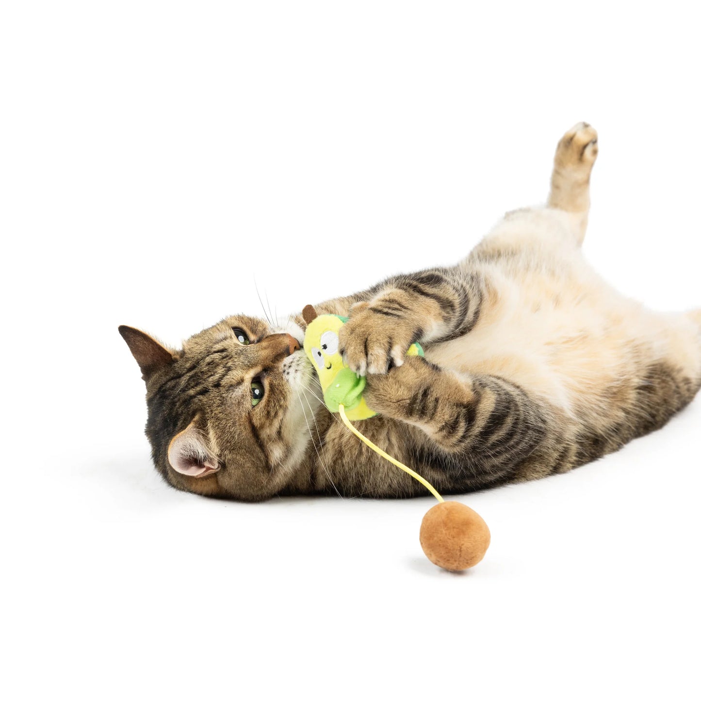 HUXLEY & KENT Avocado Popper Catnip Toy