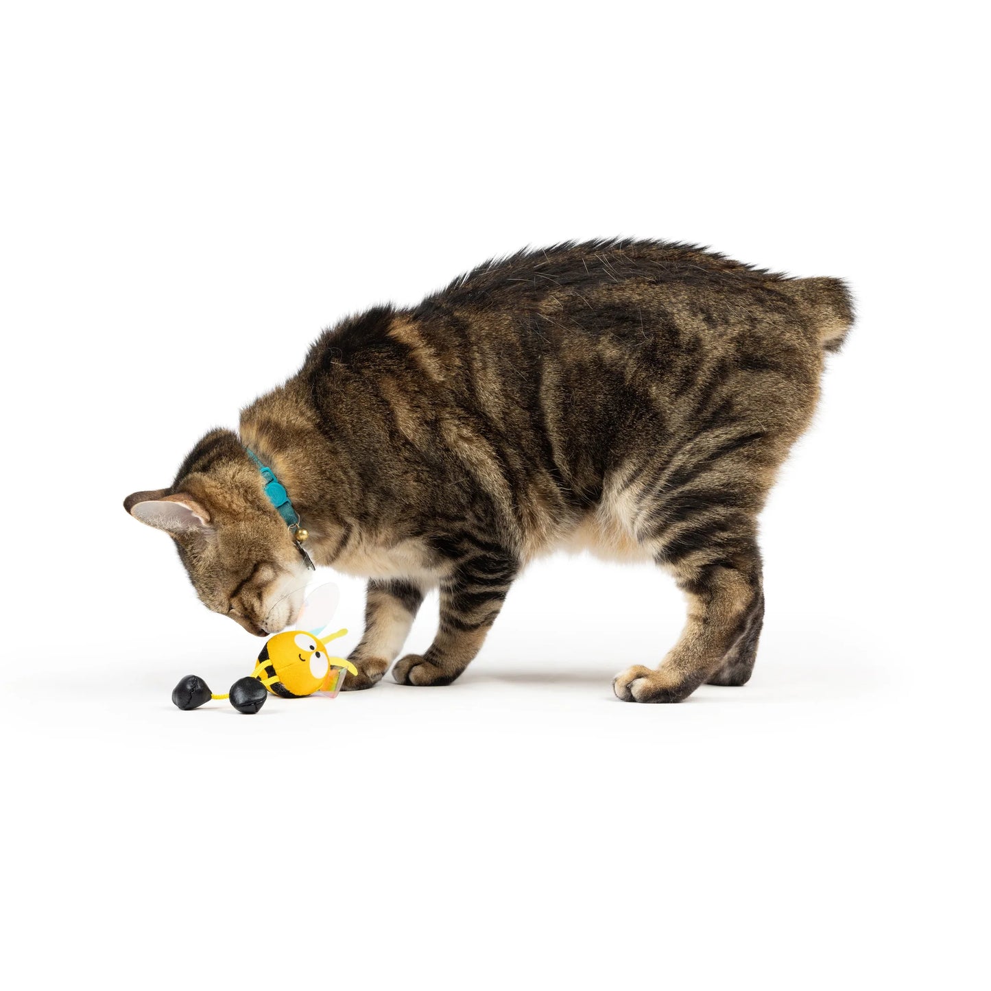 HUXLEY & KENT Chirpy Bumblebee Toy