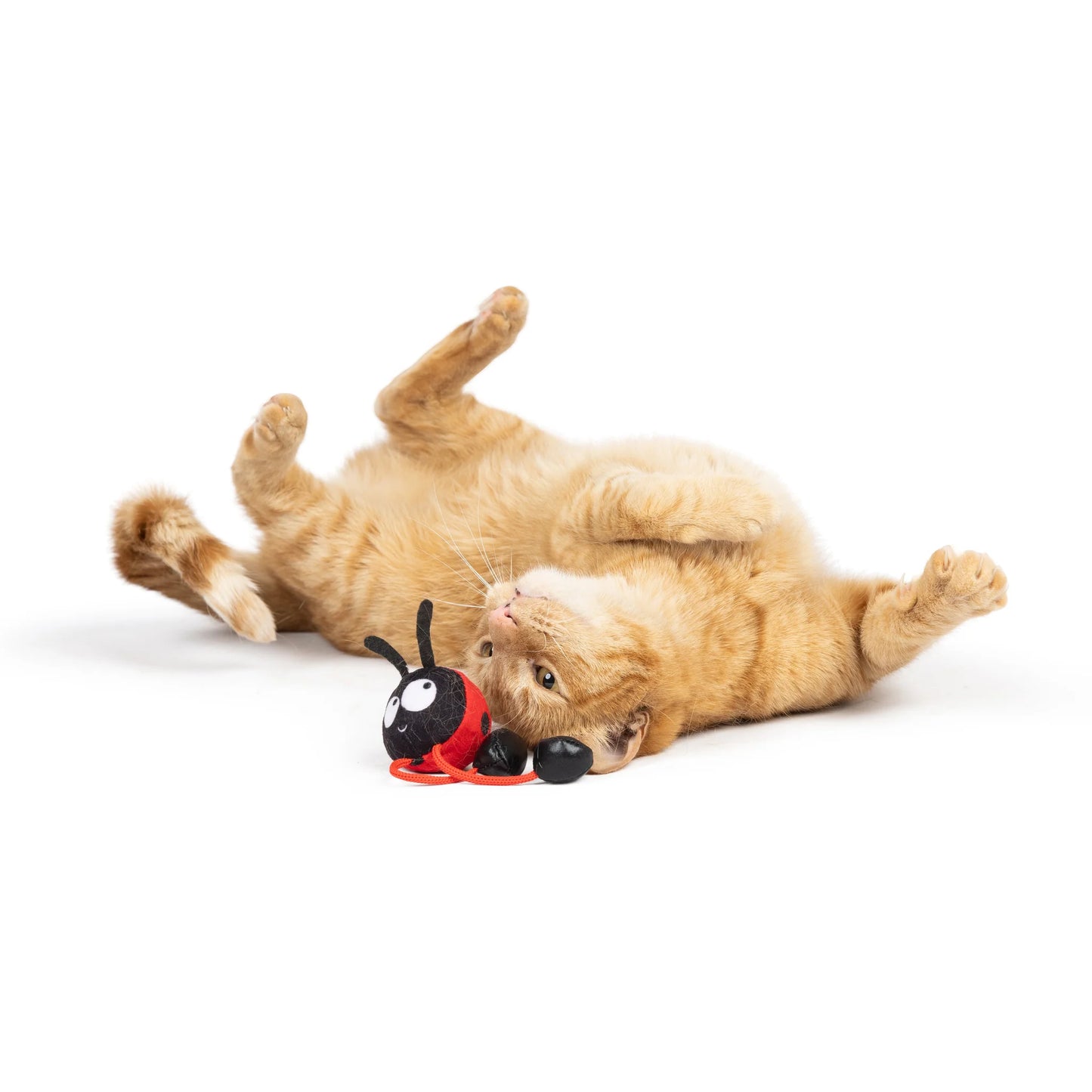 HUXLEY & KENT Chirpy Ladybug Toy