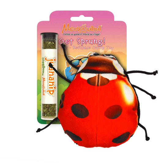 MEOWIJUANA Get Sprung! Ladybug Catnip Toy
