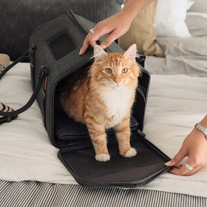 TUFT + PAW Porto Cat Carrier, Charcoal