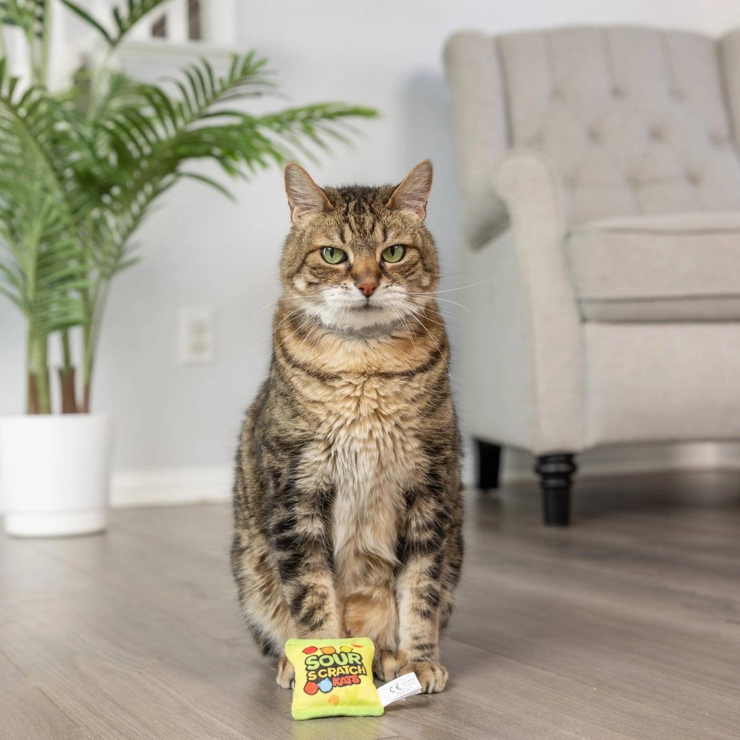 HUXLEY & KENT Plush Sour Scratch Catnip Toy