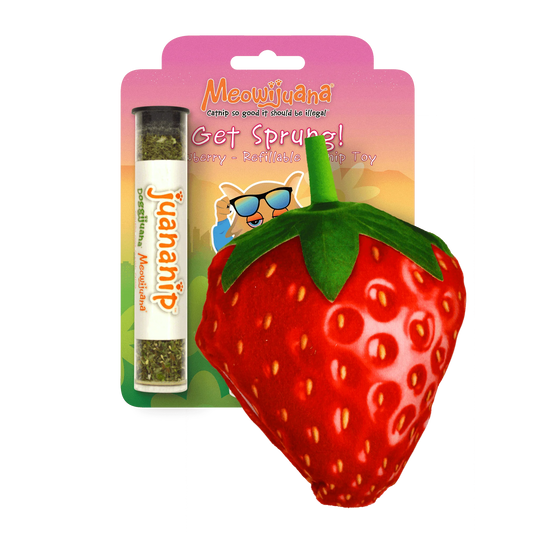 MEOWIJUANA Get Sprung! Strawberry Catnip Toy