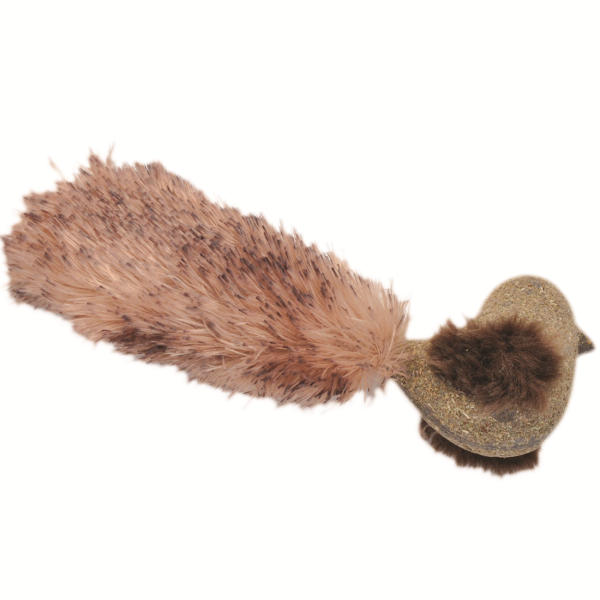 COASTAL Turbo Compressed Catnip Bird