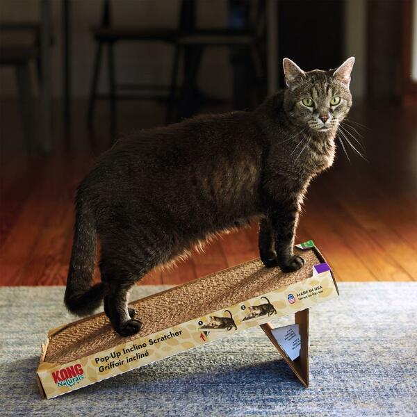 KONG Naturals Pop-Up Incline Scratcher