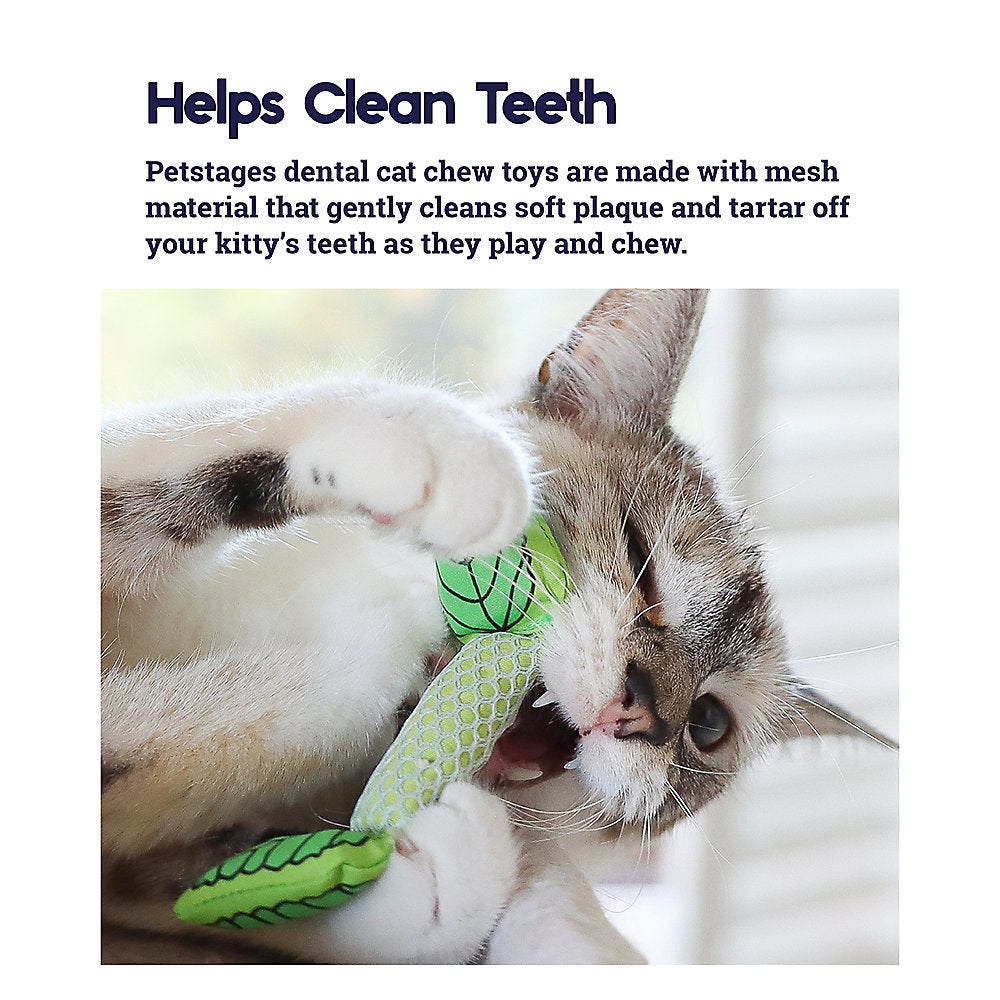 PETSTAGES Fresh Breath Mint Stick, Green