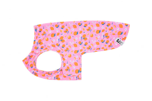 RC PETS Zephyr Cooling Vest Zesty, Small