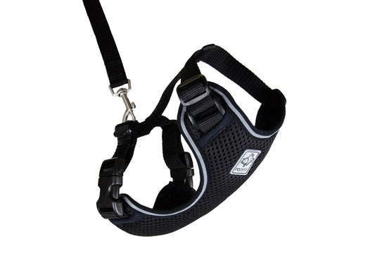 RC PETS Adventure Kitty Harness w/Leash Black, large