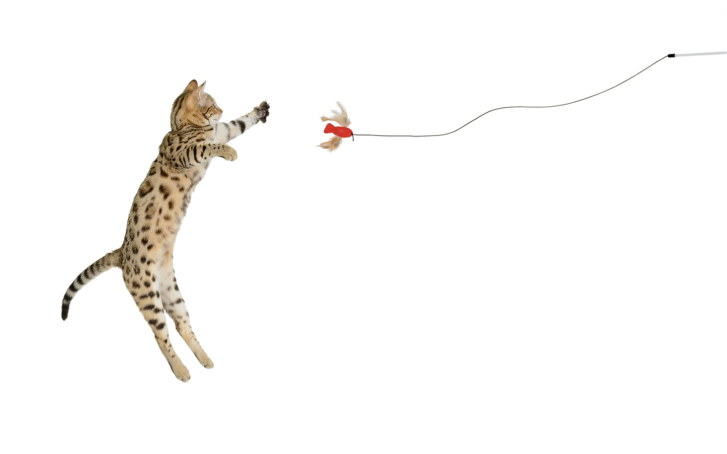 ROMPICATZ Feather n' Bell Wand Toy