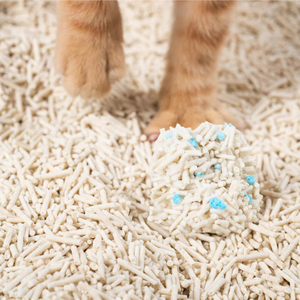 PIDAN Tofu Litter, Original Tofu with Blood Test particles, 2.4 kg
