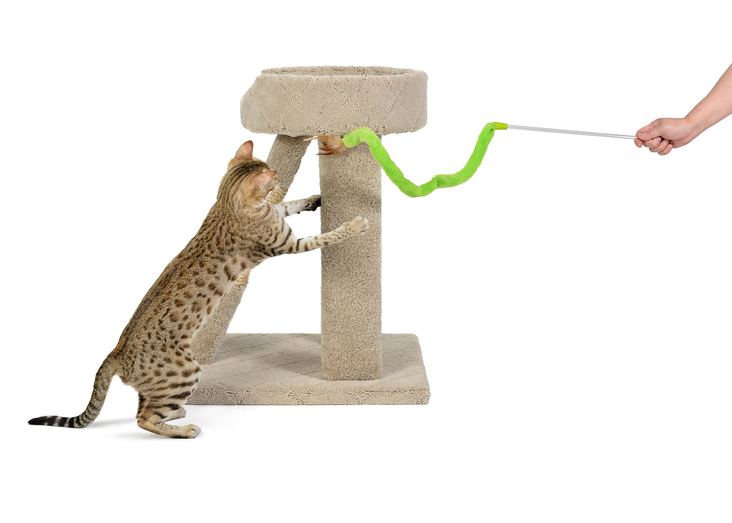 ROMPICATZ Feather n' Fabric Teaser