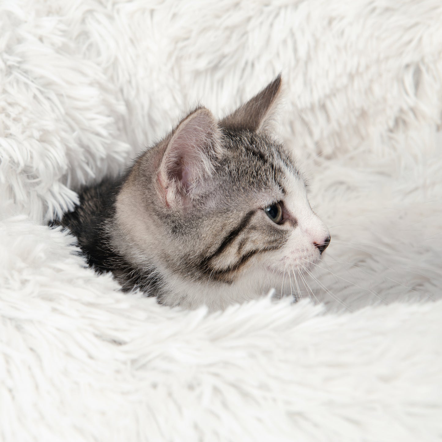 CATIT Fluffy Bed, White