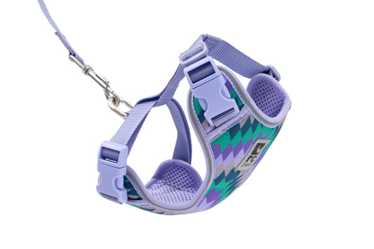 RC PETS Adventure Kitty Harness w/Leash Maze, medium