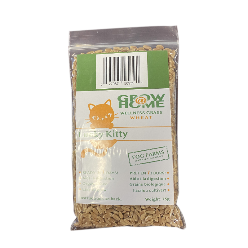 LUCKY KITTY Grow at Home Wheat Grass Seed Pack, 75g