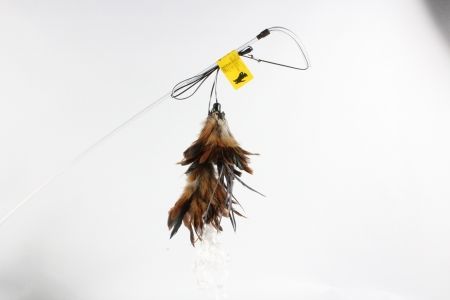 VEE ENTERPRISES Purrfect Crunchy Feather Toy