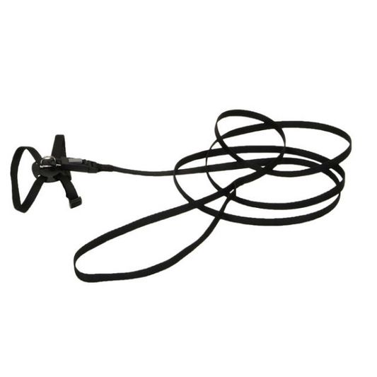 COASTAL Li'l Pals Kitten Harness, Black