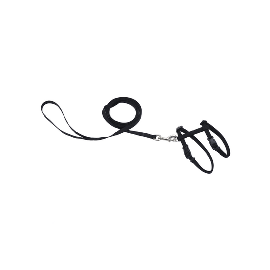 COASTAL Adjustable Harness with 6' Leash, Black