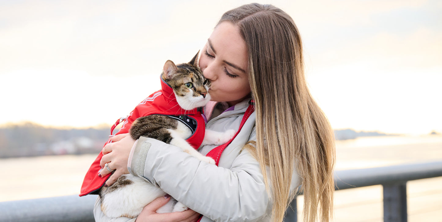 RC PETS Drift Kitty Coat, Goji Berry