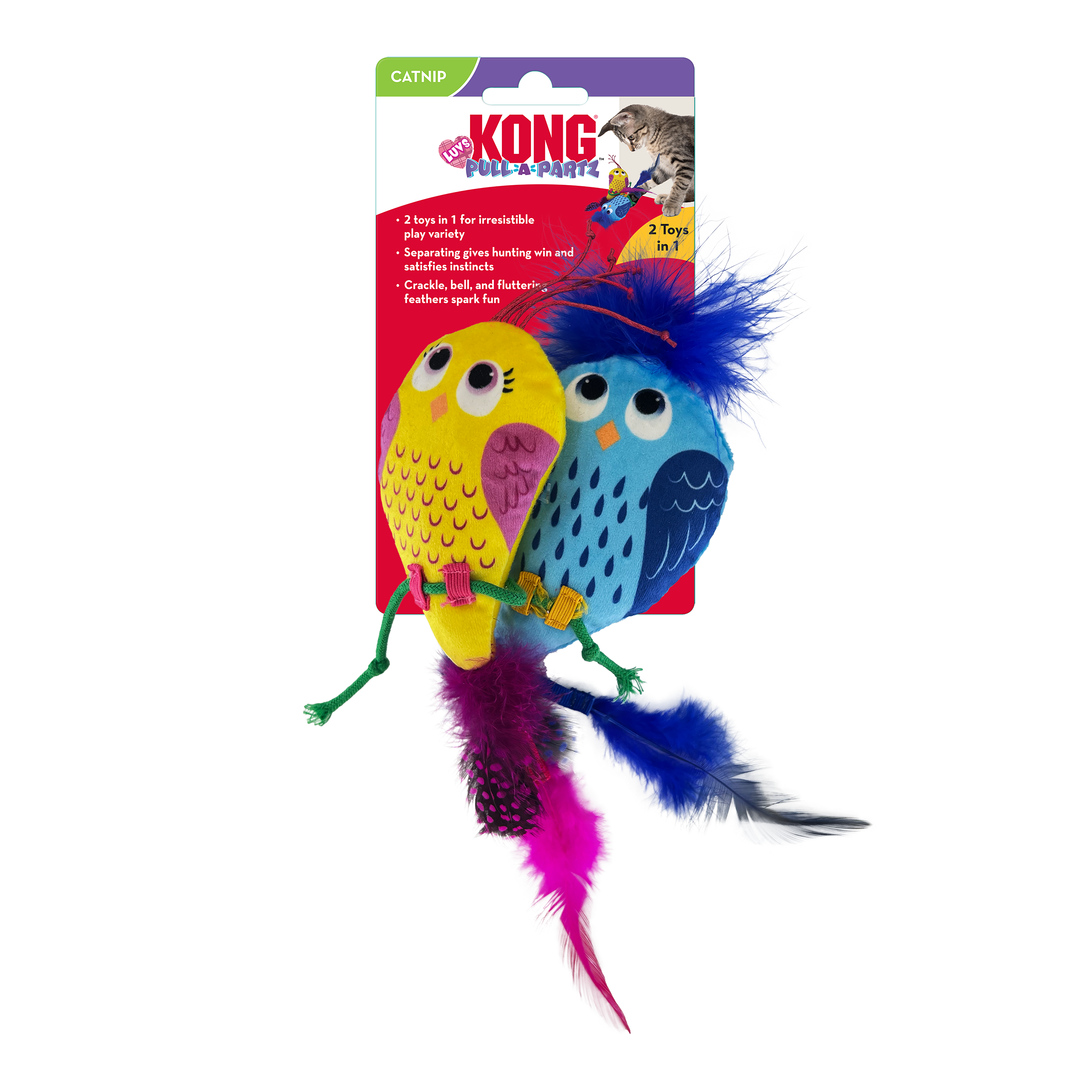 Kong shop bird toy