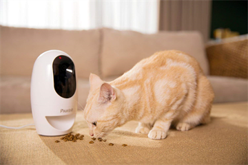 PAWBO Pawbo+ Wireless Interactive Pet Camera