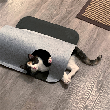 FINN & WINSTON Play Tunnel & Mat