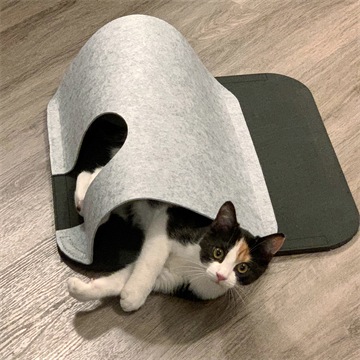FINN & WINSTON Play Tunnel & Mat