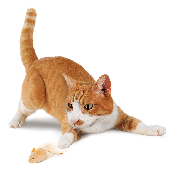 SMARTYKAT Race 'n Chase Remote Control Mouse