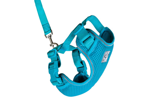 RC PETS Adventure Kitty Harness w/Leash Teal, medium