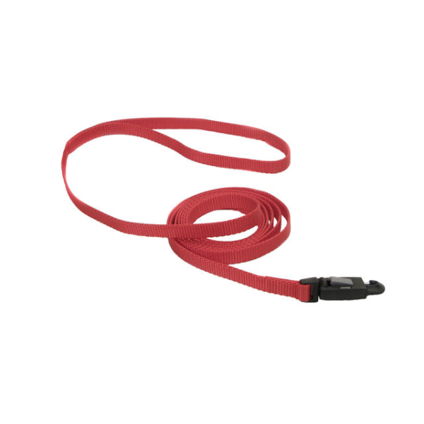 COASTAL Nylon Leash with E-Z Snap 6', Red
