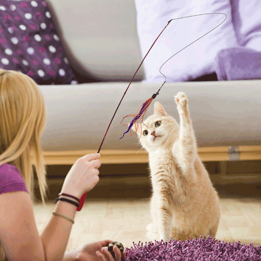 DEZI & ROO Wiggly Wand with Worm