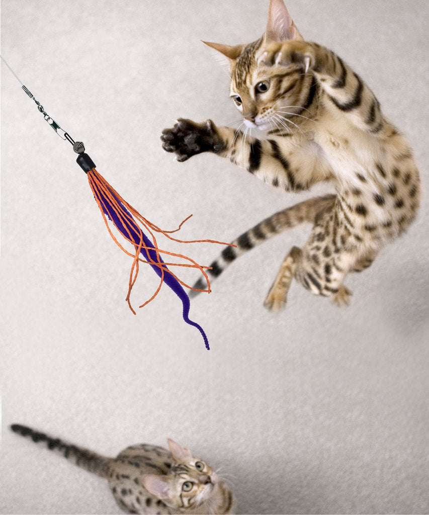 DEZI & ROO Wiggly Wand with Worm