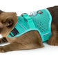 SLEEPYPOD Martingale Cat Harness