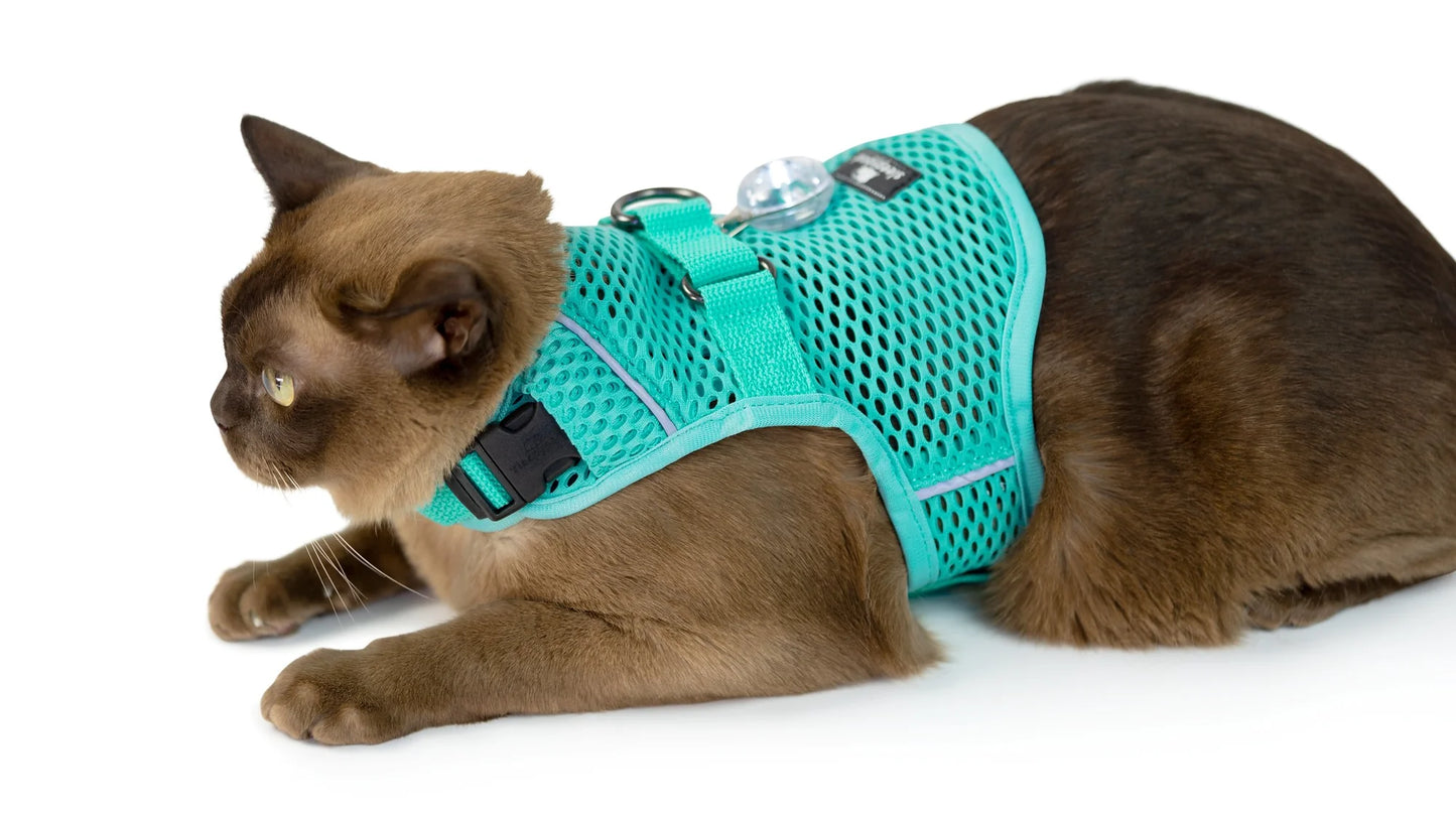 SLEEPYPOD Martingale Cat Harness