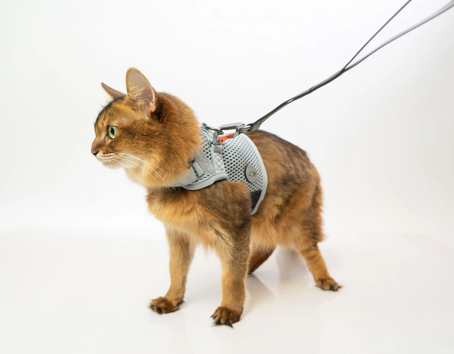 SLEEPYPOD Martingale Cat Harness