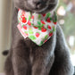 TRAVEL CAT Strawberry Shortcake Limited Edition Collar and Bandana