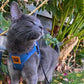 TRAVEL CAT The True Adventurer Reflective Harness and Leash Set, Jean Jacket