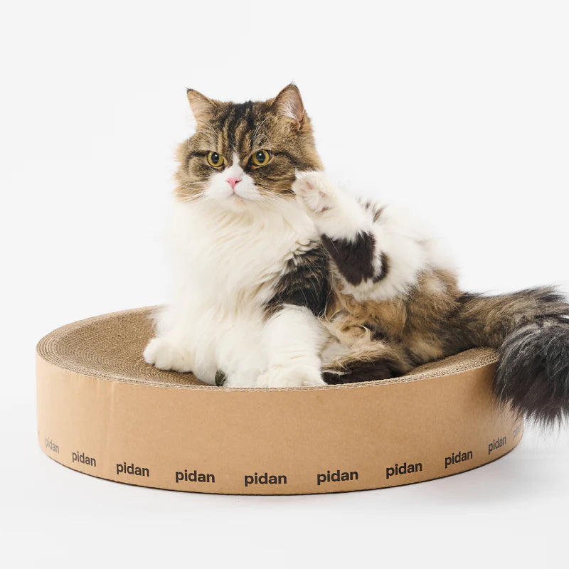 PIDAN Round Cat Scratcher