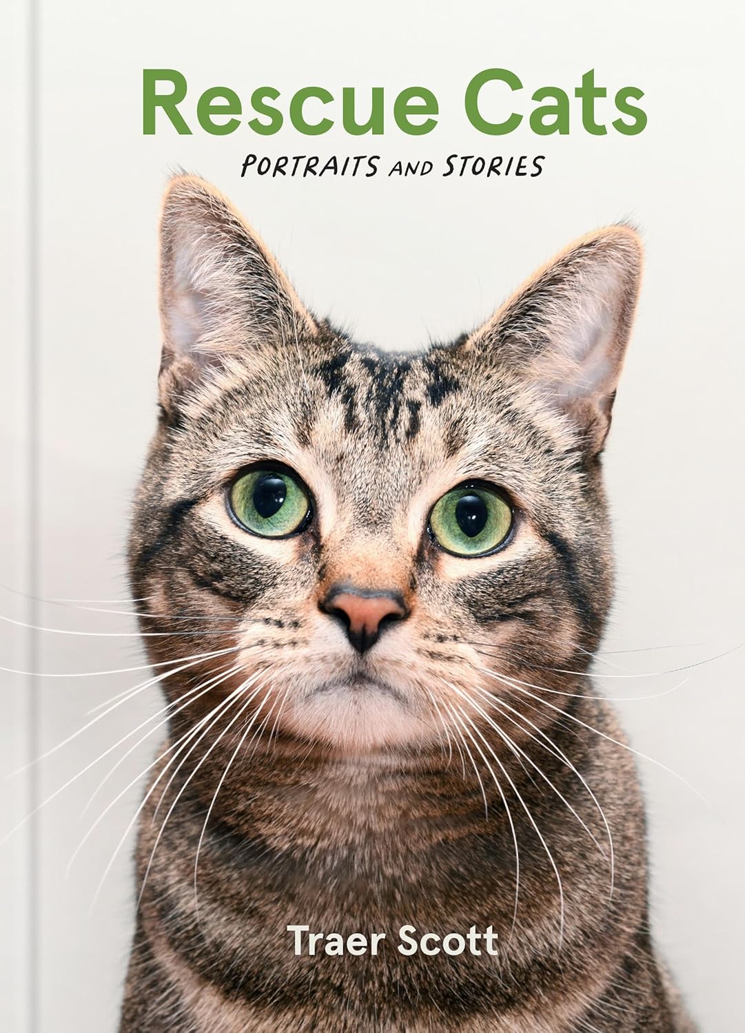 Rescue Cats: Portraits and Stories by Traer Scott