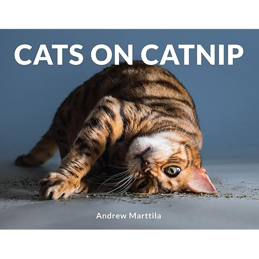 Cats On Catnip by Andrew Marttila