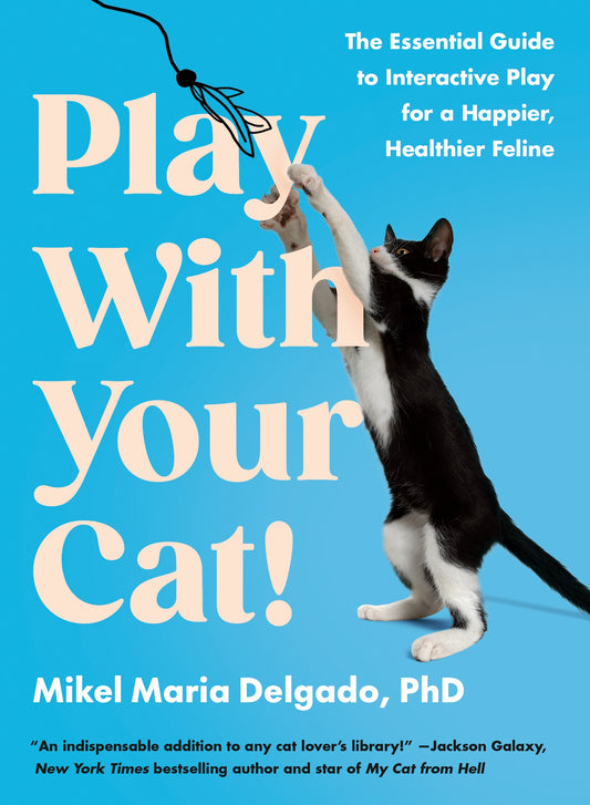 Play With Your Cat! by Mikel Maria Delgado PHD