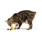 HUXLEY & KENT Chirpy Bumblebee Toy
