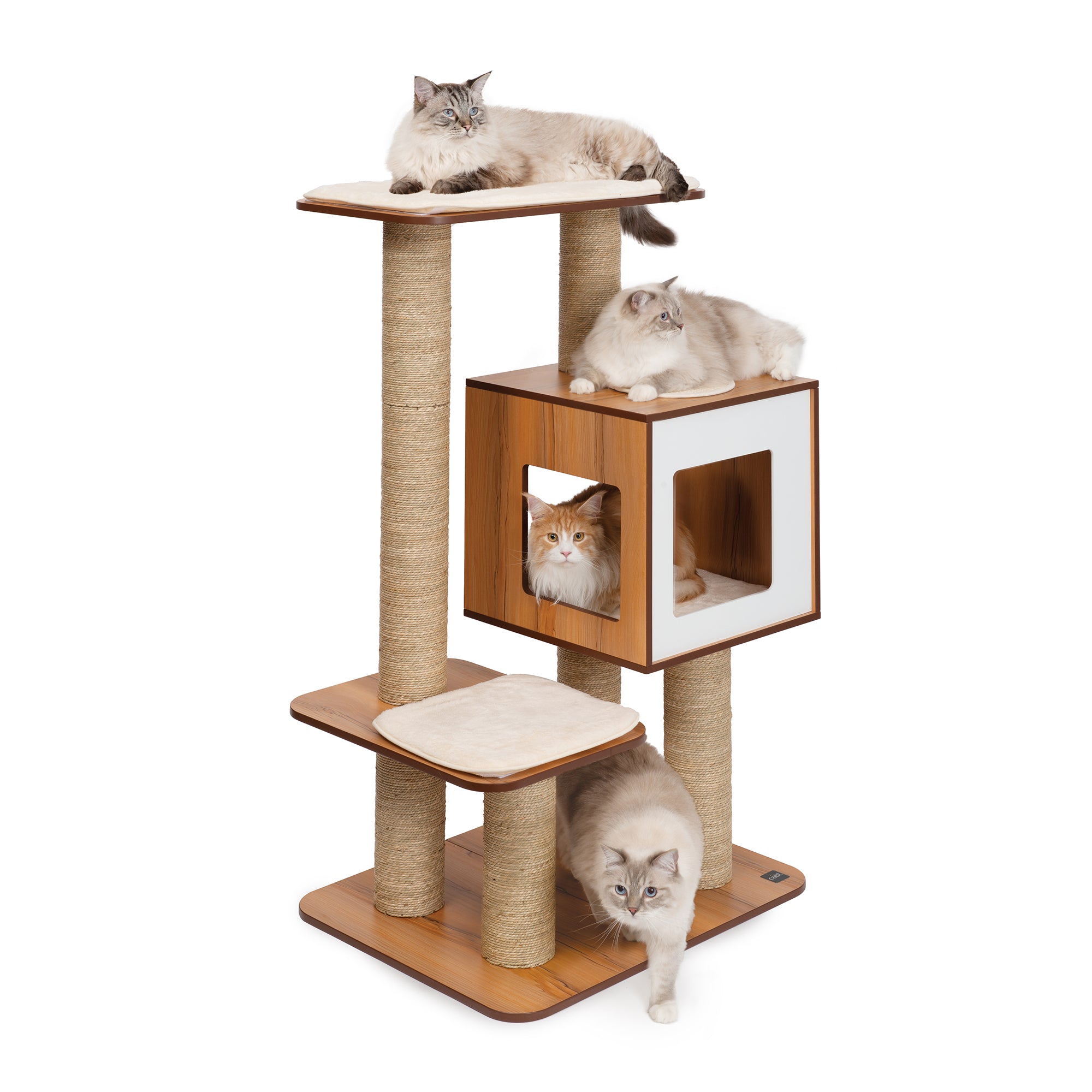 Walnut best sale cat tree