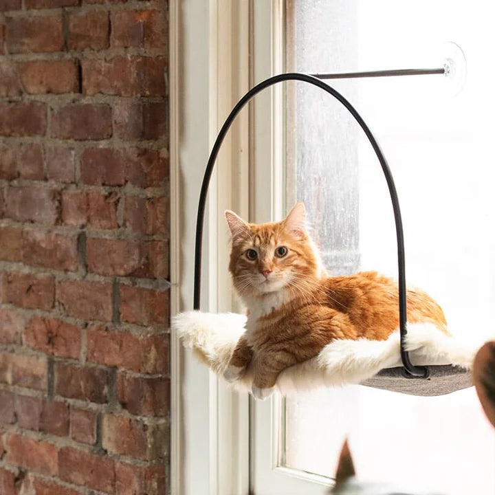 TUFT + PAW Cloud Nine Window Hammock