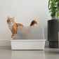 TUFT + PAW Cubby Litter Box