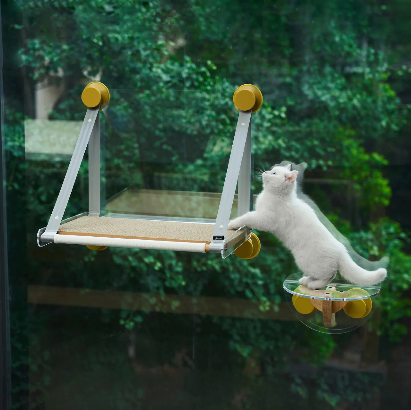 PIDAN Window Perch Hammock 2.0 – Happy Cat Feline Essentials
