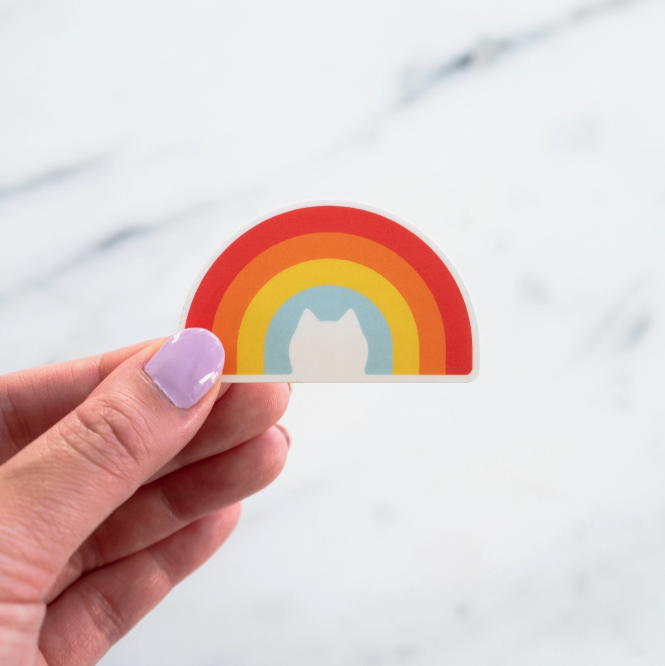 EVERYDAY OLIVE Rainbow Cat Sticker