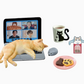 KITAN CLUB Life with Cats Blind Box